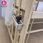 تخت کنار مادری سلیکا solika مدل 105 رنگ چوب رنگ سرویس کرم ستاره